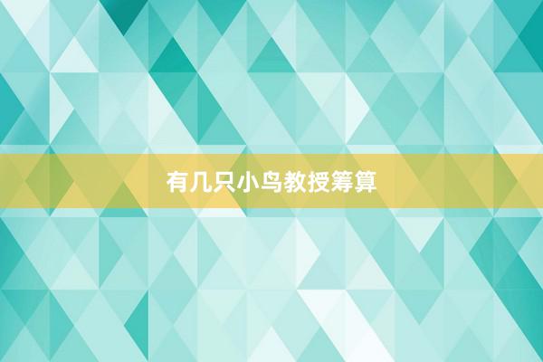 有几只小鸟教授筹算