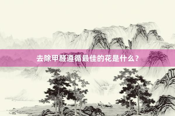 去除甲醛遵循最佳的花是什么？