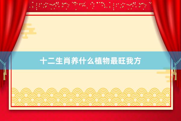 十二生肖养什么植物最旺我方