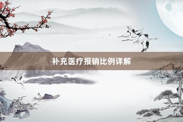 补充医疗报销比例详解