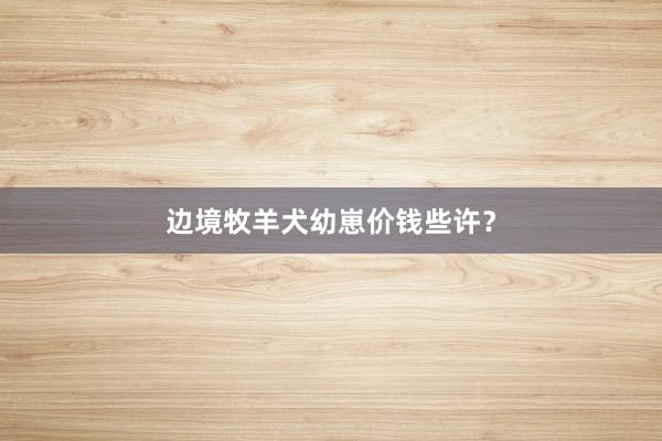 边境牧羊犬幼崽价钱些许？