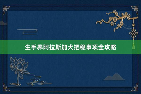 生手养阿拉斯加犬把稳事项全攻略