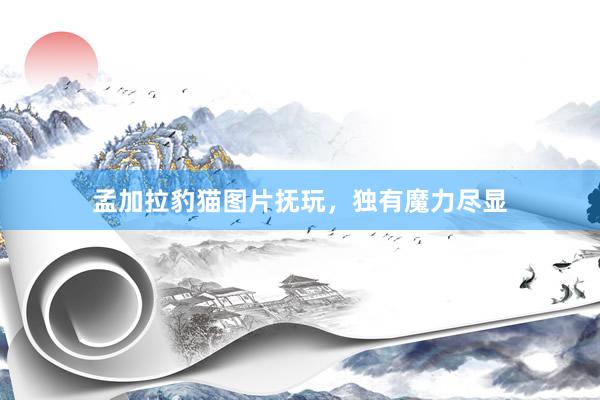 孟加拉豹猫图片抚玩，独有魔力尽显