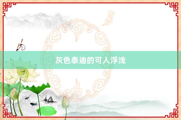 灰色泰迪的可人浮浅