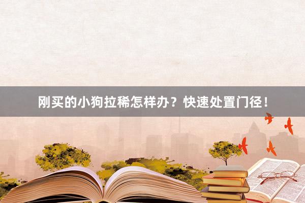 刚买的小狗拉稀怎样办？快速处置门径！